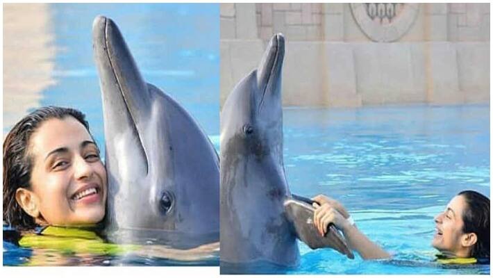 thirusha dolphin photo turn controversy