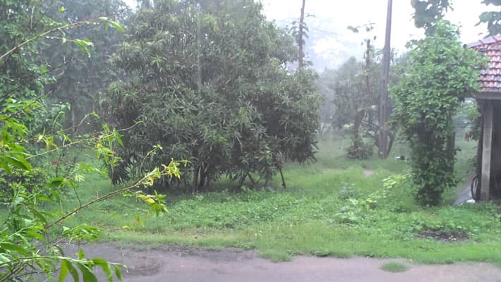 Tamilnadu Heavy Rain