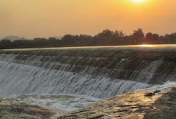 Punjab heavy rains Pong dam water release Bhakra Beas Management Board