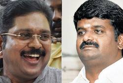 Tamil Nadu Vijayabaskar Health minister   TTV Dinakaran  Pudukkottai Video politics