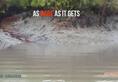 Sundarban tiger caught on camera Royal bengal mangroves wildlife protection