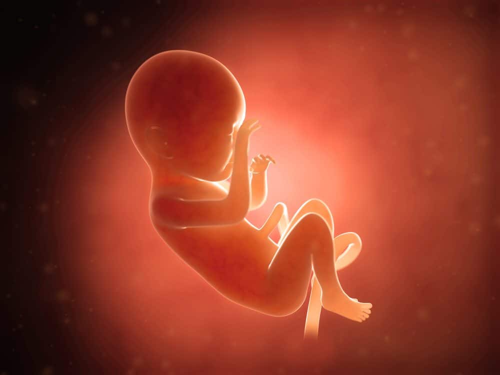 What are the causes of abortion in first trimester?