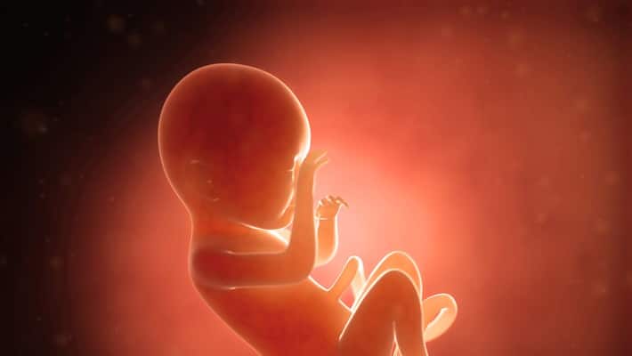Historic Moment As Abortion Bill Passes Irish Parliament Historic Moment As Abortion Bill Passes Irish Parliament