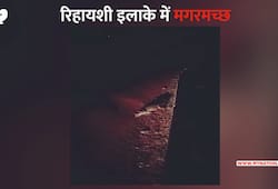Crocodile (video) showing in the residential area of Madhya Pradesh
