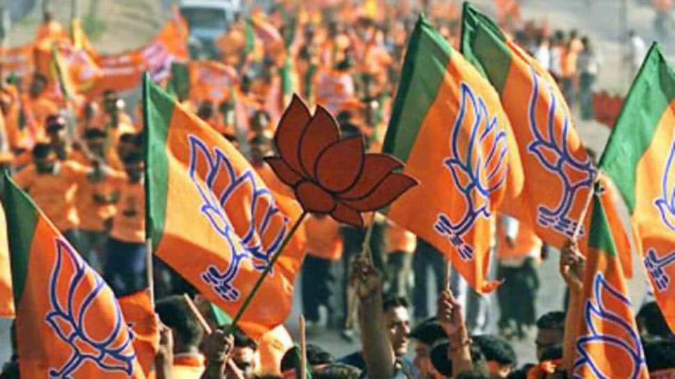 BJP wins in Shopian local body election