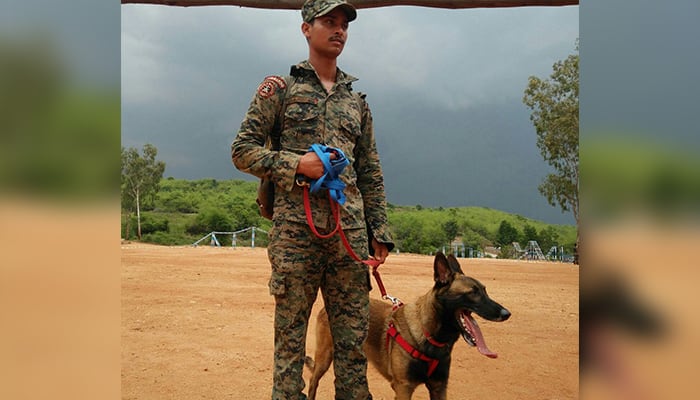 After 4 years, MHA asks CRPF to take care 860 dogs with 42 staffers
