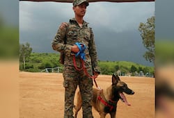 After 4 years, MHA asks CRPF to take care 860 dogs with 42 staffers