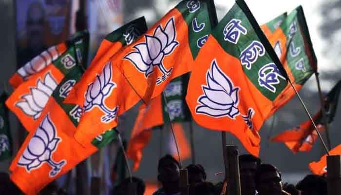 dhoni and gambhir may be bjp candidates for 2019 lok sabha election