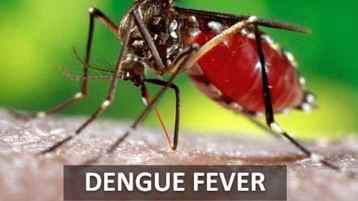 signs and symptoms of dengue and kids and old age persons will suffer by dengue