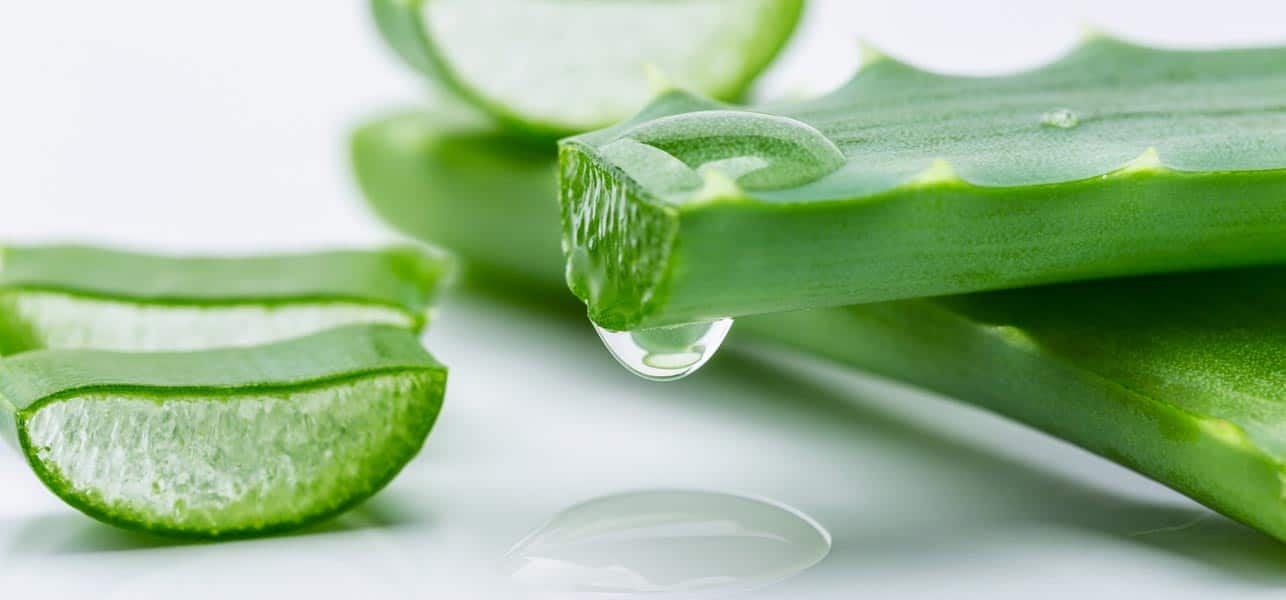 aloe vera juice good for vaginal infections