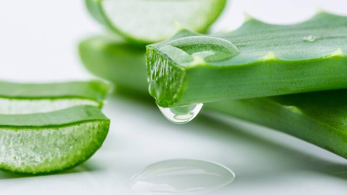 Beauty benefits of aloe vera Beauty benefits of aloe vera