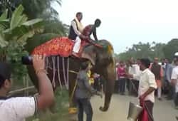 Assam Newly elected deputy speaker Kripanath Mallah caught on camera falling off elephant