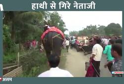 assam newly elected deputy speaker kripanath mallah caught on camera falling off elephant