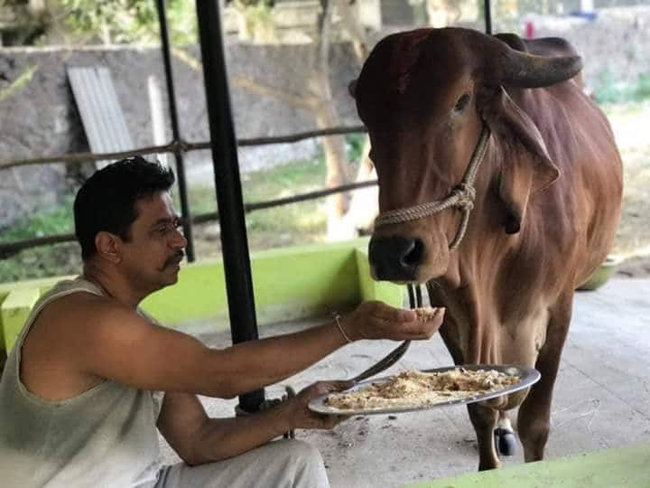 arjun daughters gave cow as a birthday gift to arjun