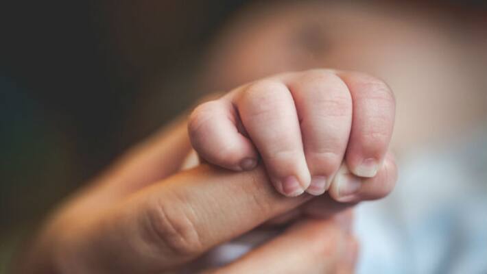 Prince Harry And Pregnant Meghan Markle Receives First Baby gift Prince Harry And Pregnant Meghan Markle Receives First Baby gift