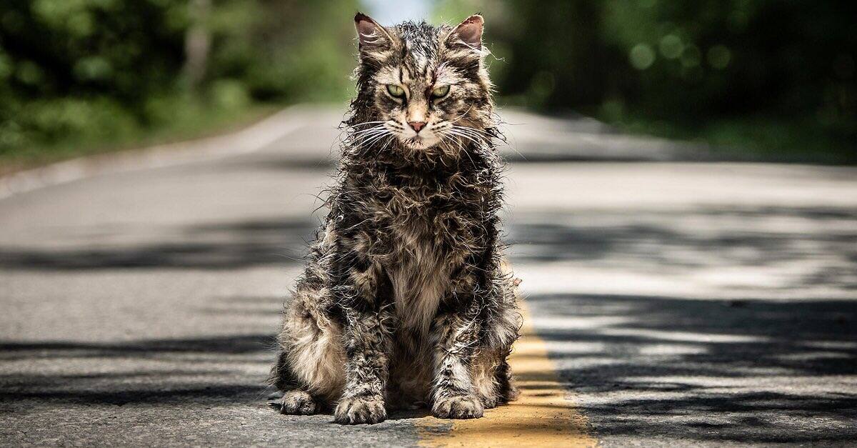 Stephen King's Pet Sematary 2019 movie trailer is going viral