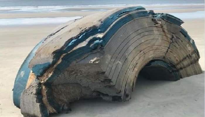 Mysterious Object Washes Up On Beach