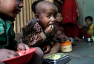 Hunger in India 20% children under age 5 underweight global hunger index