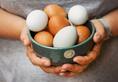 World Egg Day facts Video awareness nutrition protein