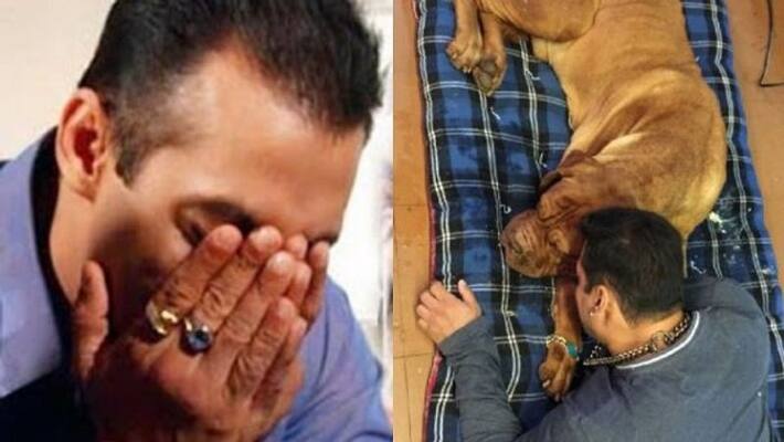 Salman Khan pet dog "My Love" passes away Salman Khan pet dog "My Love" passes away
