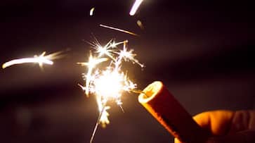 Supreme Court verdict firecrackers manufacturers online sale green crackers Sivakasi Diwali
