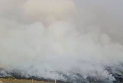 smog parali burning fatehabad haryana punjab ngt pollution