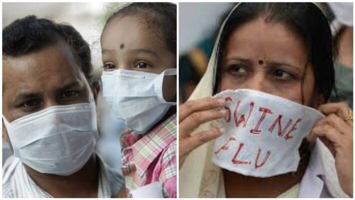 dengue and swine flu spreading everywhere in tamilnadu dengue and swine flu spreading everywhere in tamilnadu