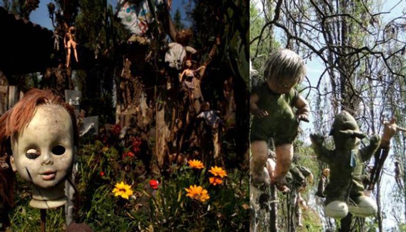 unknown facts of Death Doll island BJC