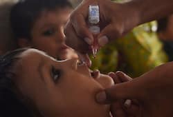 World Polio Day eradication India Here are the facts (Video)
