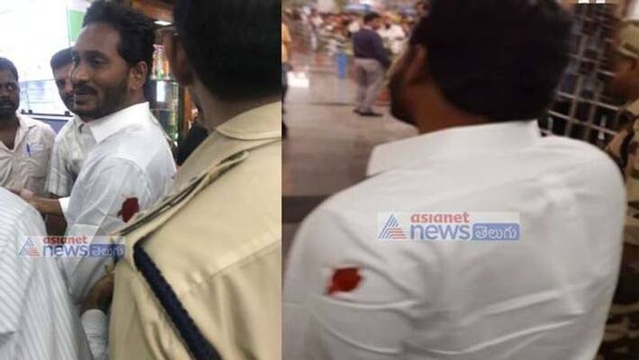 Jagan attack: young man arrested in shamshabad airport Jagan attack: young man arrested in shamshabad airport
