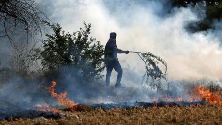 Stubble burning: 19 farmers booked in Uttar Pradesh's Sitapur Stubble burning: 19 farmers booked in Uttar Pradesh's Sitapur