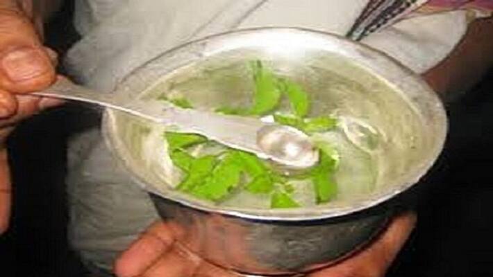 Hindu religious practice holy basil holy water Hindu religious practice holy basil holy water