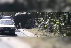 Elephant from the Corbett forest tried to crush four tourists