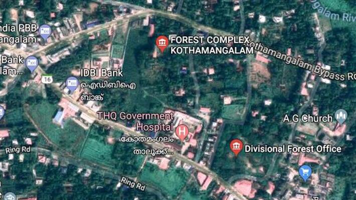 foriner was detained at the forest station for eleven hours foriner was detained at the forest station for eleven hours