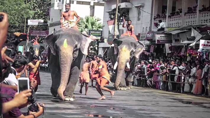 supreme court notice in ending elephant run in guruvayoor temple supreme court notice in ending elephant run in guruvayoor temple