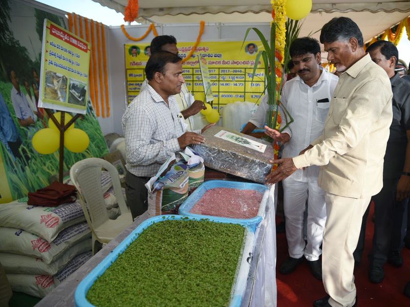 గ్రామ దర్శిని పబ్లిక్ మీటింగ్ లో చంద్రబాబు