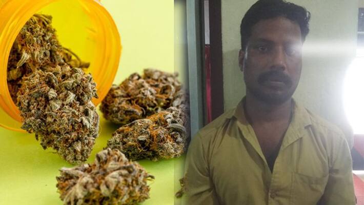 youth arrested with 5 kg marijuana in kozhikode youth arrested with 5 kg marijuana in kozhikode
