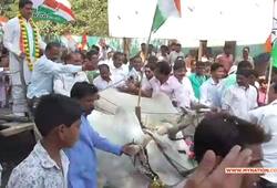 Bull cart crashed in sagar MP