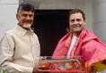 TDP tie-up Congress leaders Andhra Pradesh quit Chandrababu Naidu Rahul Gandhi