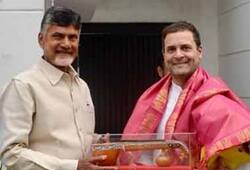 TDP tie-up Congress leaders Andhra Pradesh quit Chandrababu Naidu Rahul Gandhi