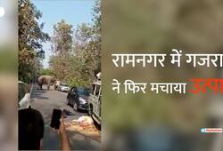 Video: An Elephant creates ruckus again in Ramnagar between Ringola and Corbett Tiger Reserve