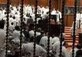 Sri Lanka MPs fight in parliament as power struggle deepens