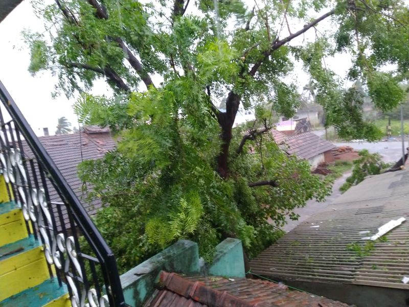 Gaja Cyclone
