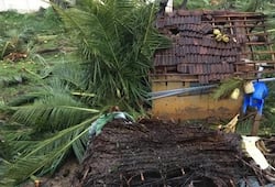 Cyclone Gaja 45 lives  massive property destruction Tamil Nadu heavy rain storm