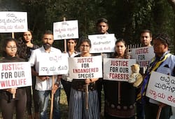 Tigress Avni Bengaluru Protest Justice for Avni Tiger
