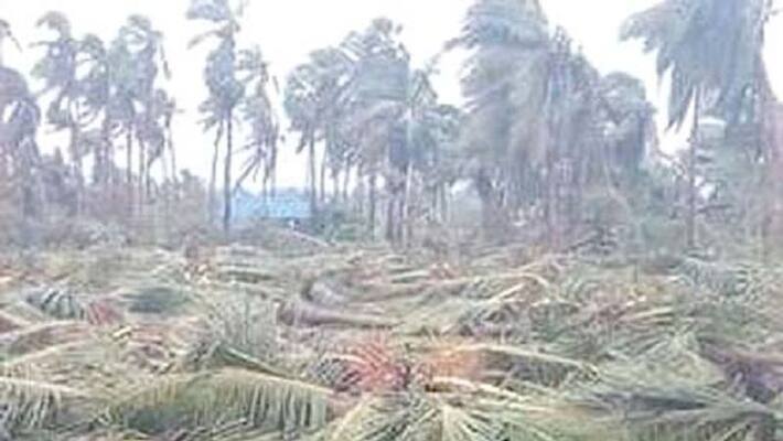 kaja damage in thanjai dist kaja damage in thanjai dist