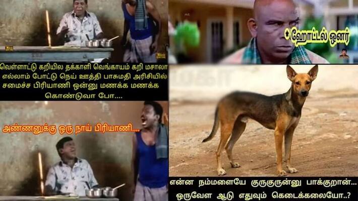 dog meat non veg rate high dog meat non veg rate high