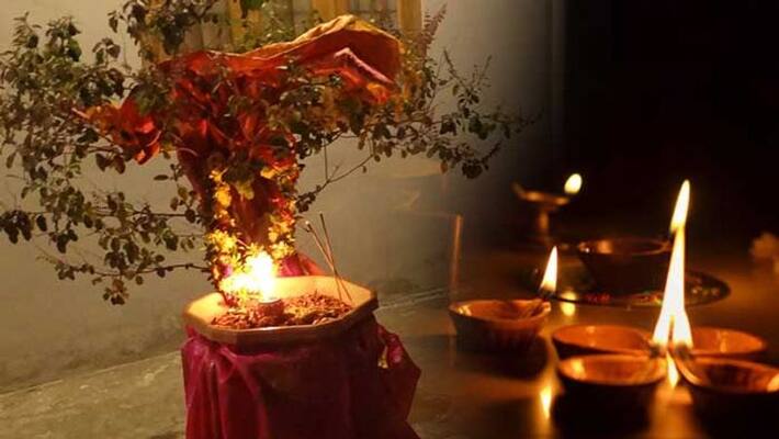 Tulsi Vivah 2021 date puja shubh muhurat and significance Tulsi Vivah 2021 date puja shubh muhurat and significance