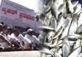 Karnataka fishermen protest against Goa govt's fish blockade