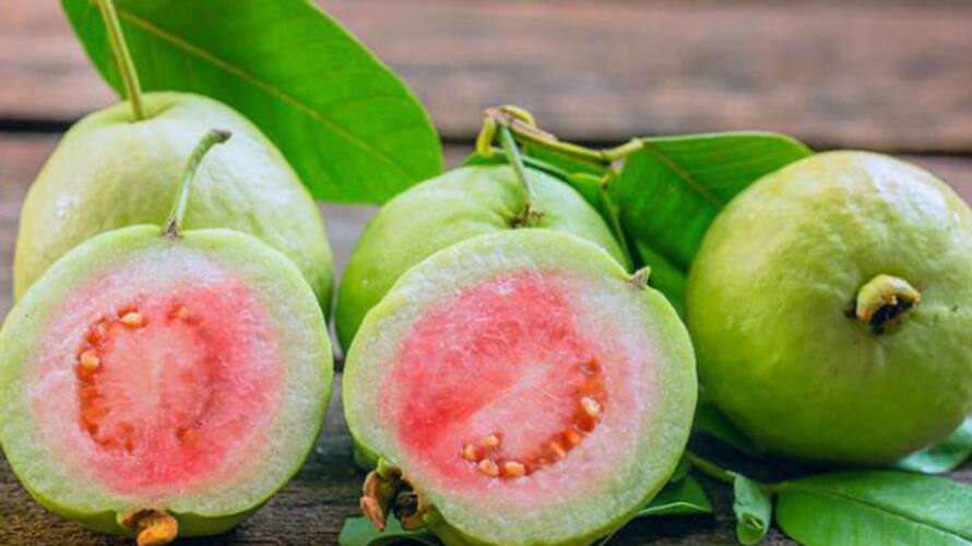 six foods which helps to improve gut health six foods which helps to improve gut health